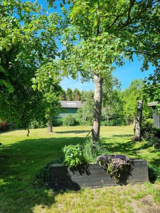 Willkommen In Frifelt Naehe Romo Mit Wunderschoenen Garten Skærbæk Extérieur photo